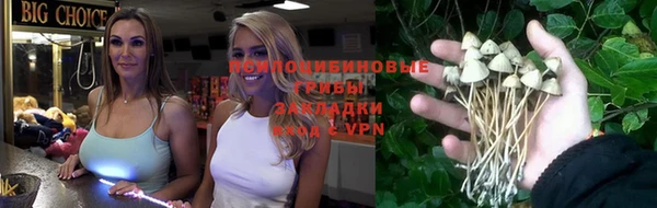 Альфа ПВП Заволжск