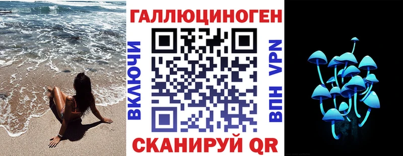 хочу   Каменка  Псилоцибиновые грибы Psilocybe 