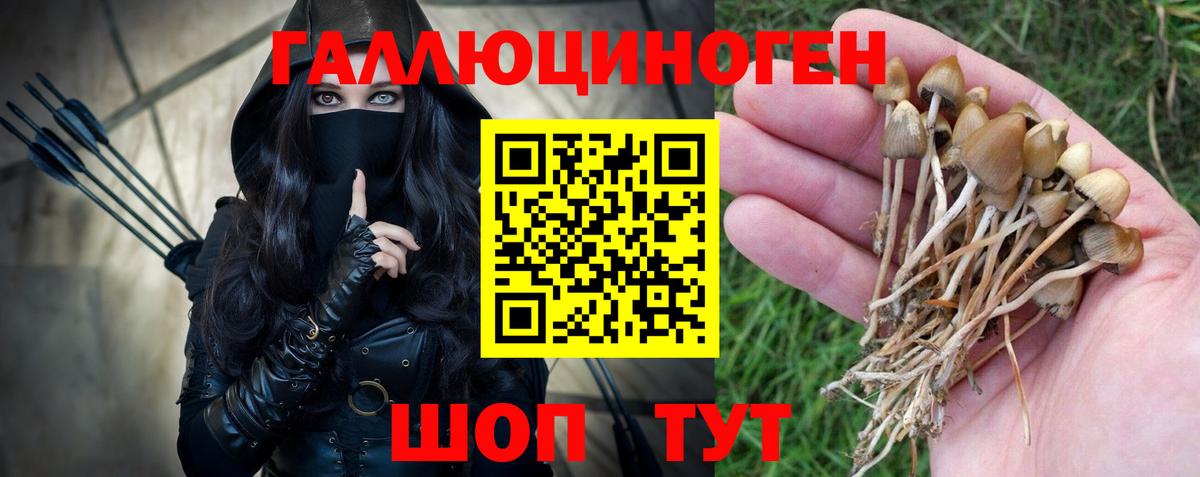 Каменка  Галлюциногенные грибы Psilocybe  Вход с VPN 